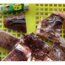 Fillet daging monkfish beku berkualitas tinggi